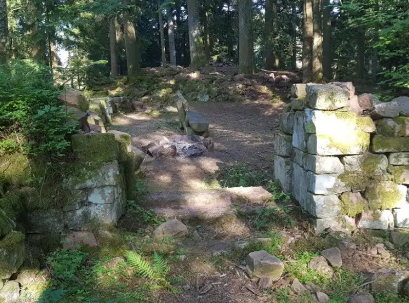 Ruine Willenburg (Schlössle), Germany